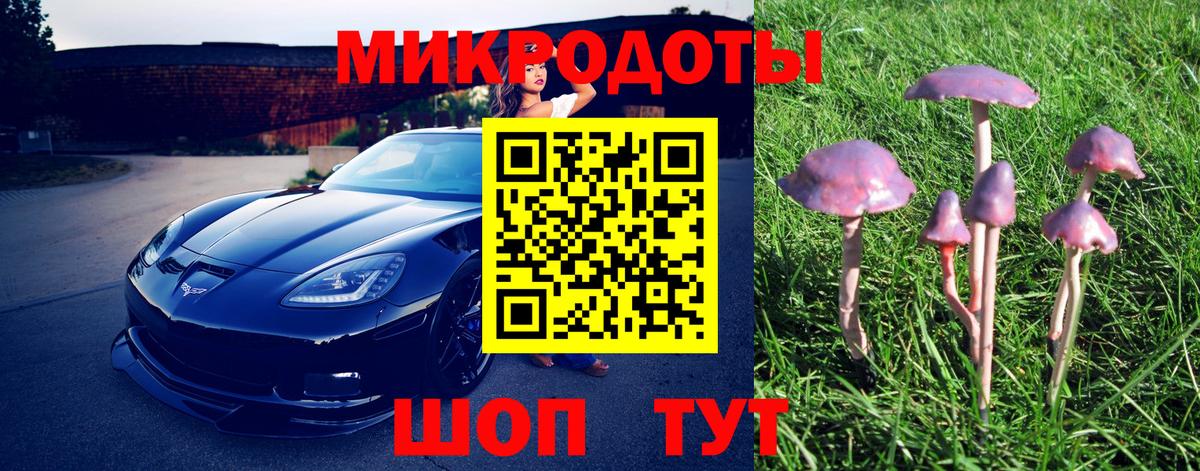 Псилоцибиновые грибы Cubensis  Псилоцибиновые грибы Cubensis  Королёв  Вход с VPN 